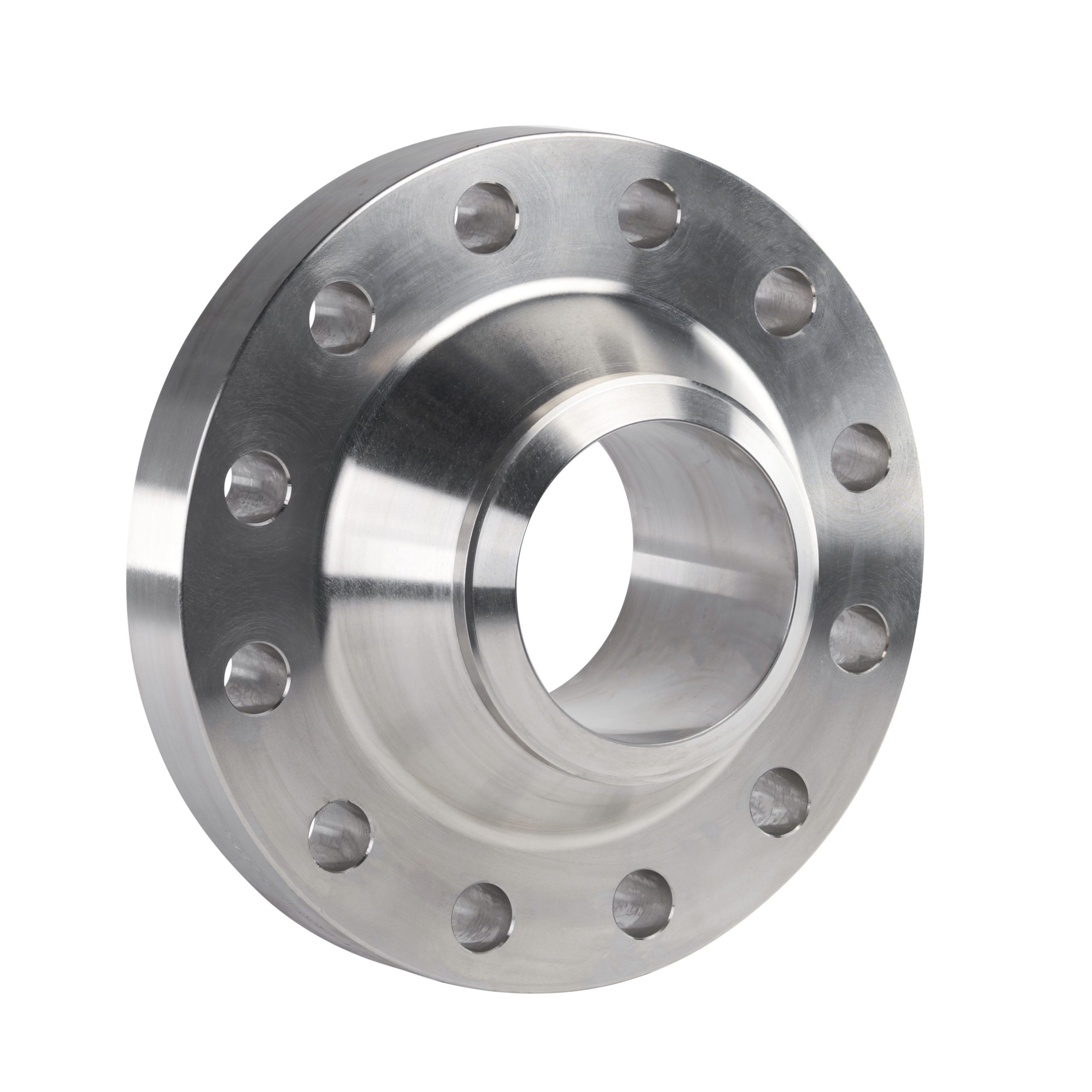 Stainless Flange (1)